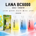 LANA Bar BC 6000 一次性電子煙 超涼款